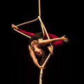 Aerial rope act - Traditional Circus