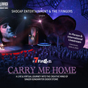 Carry Me Home - Circus Events - CircusTalk