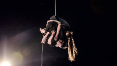 PLAST - Circus Shows - CircusTalk