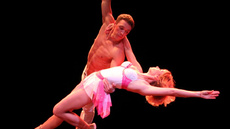 Aerial duo Primavera - straps act. - Circus Acts - CircusTalk