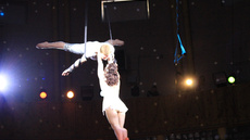 Aerialstraps duo - Circus Acts - CircusTalk