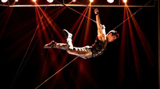 Aerial Straps - Circus Acts - CircusTalk