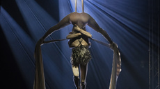 Pot le Pot - Duo Silks - Circus Acts - CircusTalk