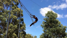 Swinging Trapeze - Circus Acts - CircusTalk