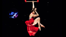 XOXO Moongirl - Circus Shows - CircusTalk