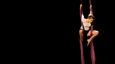 Aerial silks Hanne coeckelberghs - Circus Acts - CircusTalk