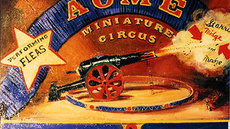 Acme Miniature Flea Circus - Circus Shows - CircusTalk