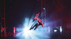 'I Put A Spell On You' Aerial Straps Duo - Circus Acts - CircusTalk