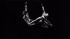 Blain & Jess J Duo Straps - Circus Acts - CircusTalk