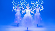 Light & Dance show "Light Dreams"  - Circus Acts - CircusTalk