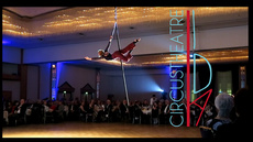 - Time - on aerial pole  by Ida Circustheatre - Circus Acts - CircusTalk