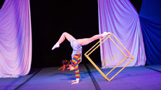 Grounded Cube - Circus Acts - CircusTalk