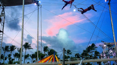 Flying Trapeze  - Circus Acts - CircusTalk