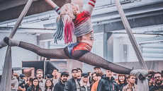 Harley Quinn Cosplay Act - Circus Acts - CircusTalk