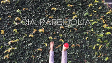 Pareidolia Malabares - Circus Acts - CircusTalk