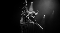 Aerial Straps Duo - Circus Acts - CircusTalk