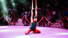 Aerial straps - Circus Acts - CircusTalk