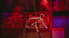 Aerial Pole - If I Could Wish For Something - Circus Acts - CircusTalk