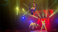 Gold jumpers  - Circus Acts - CircusTalk
