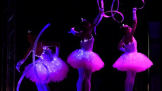 Light & Gymnastics show "Illusion" - Circus Acts - CircusTalk