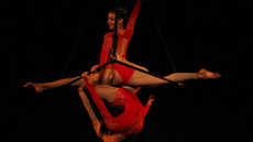 Aerial Pyramid  - Circus Acts - CircusTalk