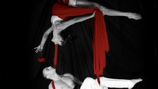 Seb & Katia - Circus Acts - CircusTalk