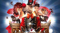 ExcentriK - Circus Shows - CircusTalk