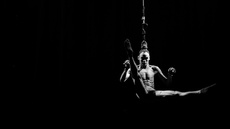 SilenciAR - Circus Acts - CircusTalk