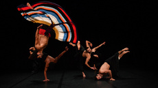 Baal - Groupe Noces - Circus Shows - CircusTalk