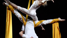 Aerial Silks Acrobatics  - Circus Acts - CircusTalk