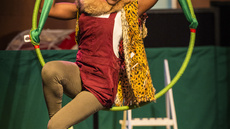 TARZANNA - Circus Shows - CircusTalk