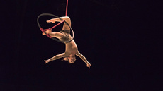 Aerial hoop solo act - Circus Acts - CircusTalk