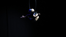 Aerial Hoop Act  S2022 - Circus Acts - CircusTalk