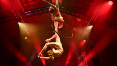 Morgan and Freya - Circus Acts - CircusTalk