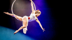 Aerial Hoop/Lyra/Ring - Circus Acts - CircusTalk