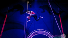 Wheel of death - Circus Acts - CircusTalk