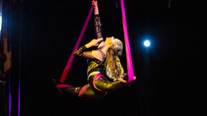 Strength & Struggle: Aerial Sling - Circus Acts - CircusTalk