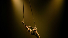 L'AUBE  - Circus Acts - CircusTalk