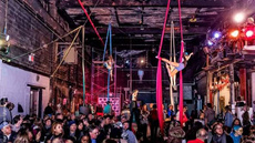 Muse Circus Cabarets - Circus Shows - CircusTalk
