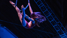 Aerial Straps - Lindsay - Circus Acts - CircusTalk