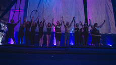 Into The Wild Grand Opening - Circus Shows - CircusTalk