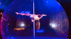 Pole dance in a giant snowglobe - Circus Acts - CircusTalk
