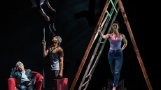 Extraordinary Bodies: Delicate - Circus Shows - CircusTalk