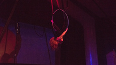 That Moxy Show - Circus Acts - CircusTalk