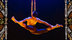 Cabaret de cirque - Circus Shows - CircusTalk