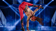 Silke Pan - Paraplegic Handstand Performer - Circus Acts - CircusTalk