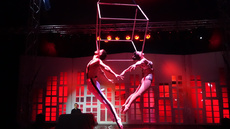 Duo Cube - Circus Acts - CircusTalk