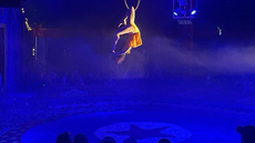 Aerial Hoop - Circus Acts - CircusTalk