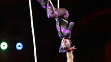 Aerial rope - Circus Acts - CircusTalk