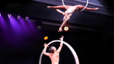 Lyra &amp; Cyr Wheel Duo - Circus Acts - CircusTalk